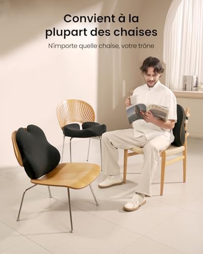 Coussin de Dossier Ergonomique en Mousse à mémoire de Forme, Coussin Lombaire pour Chaise de Bureau, siège Auto et Chaise de Bureau, Coussin Lombaire Respirant, Noir