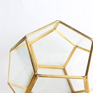 MINGZE Terrario a forma di pentagono, trasparente, formato da dodici lastre pentagonali in vetro, vaso per piante grasse…