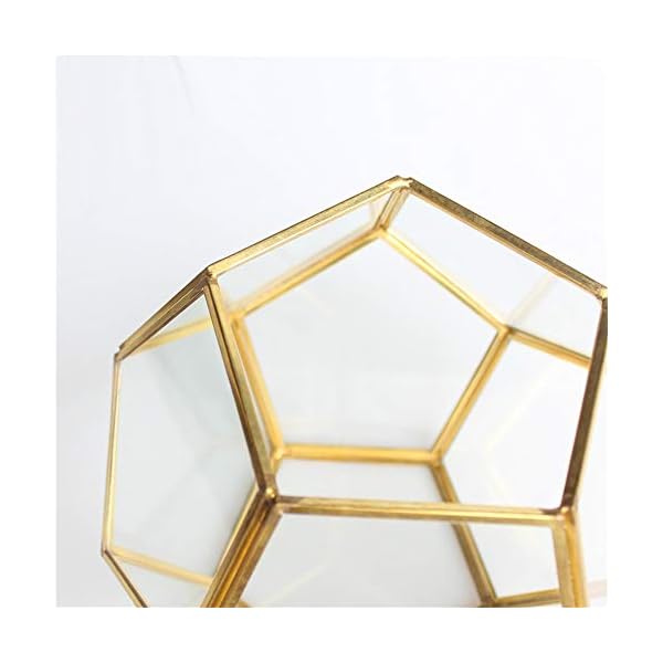 MINGZE Terrario a forma di pentagono, trasparente, formato da dodici lastre pentagonali in vetro, vaso per piante grasse…