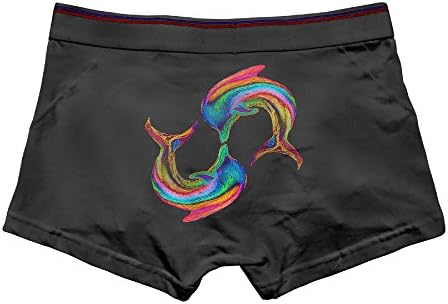 DACHEN Men's Performance Rainbow Dolphins Cotton Boxer Brief Underwear L Black