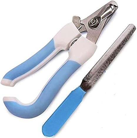 Pahanda Coupe Ongles Professionnel Pour Chiens Petit Grand Offert Avec Une Lime A Ongle Et Vous Apprendre A Couper Les Griffes De Votre Chien Chat Amazon Fr Animalerie
