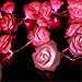 NYKKOLA 20 LED Battery Operated String Flower Rose Fairy Light Wedding Room Garden Christmass Decor (Pink)