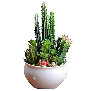 Amazon Com Smart Home Accessories Artificial Flowers