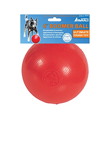TCOA Boomer Ball Med 6" colors may vary