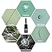 DIY Windshield Repair Kit, with UV Curing Light, Quick Fix, Car Glass Repair Tool Set for Half-Moon Cracks and The Combination Cracks