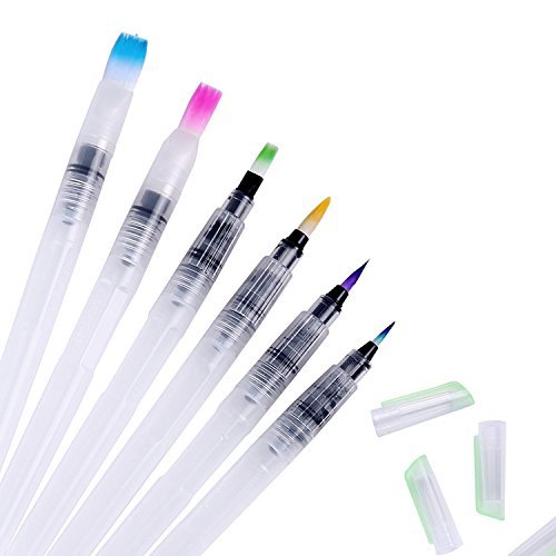 Eschone Water Coloring Brush Pens, Set of 6 Brush Tips for Watercolor Painting, Water Soluble Pencils, Brush Pens, Markers, Solid Colors or Powdered Pigment