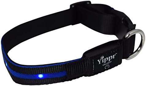 Yippr USB Rechargeable LED Nylon Dog Collar with 4 Settings, Large, Blue