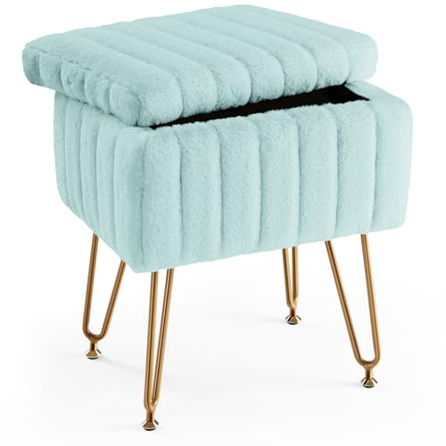 DUMOS Vanity Stool Chair, Ottoman with Storage, Makeup Cute Soft Small Footstoo…