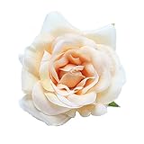 Kewl Fashion Women's Bohemia Rose Flowers Hairpin Hair Clip Flower Brooch