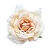 Kewl Fashion Women's Bohemia Rose Flowers Hairpin Hair Clip Flower Brooch