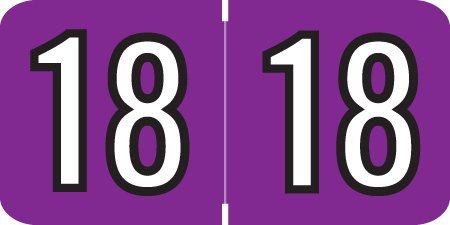 2018 File Folder Labels, Colwell Jewel Tone Style Series, Purple, Roll of 500, 3/4 x 1-1/2 - (2 Rolls)