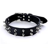 Adjustable Black Leather Studded Rivet Dog Collar