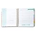 2019 Organized Chaos, 12 Month Daily Planners/Calendars: Tri-Coastal Design Planners with Monthly, Weekly and Daily Views - Personal Planner Notebook for Work or Home