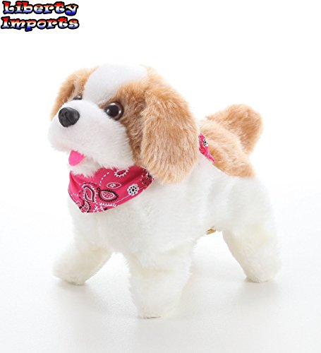 Cute Little Puppy - Flip over Dog, Somersaults, Walks, Sits, Barks