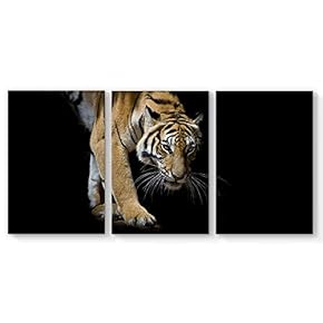 Canvas Wall Art Tiger Black Canvas Painting Wall Poster Decor for Living Room Framed Home Decorations - 16"x24" x 3 Panels