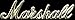 Marshall 6" Amplifier Logo (Gold)