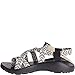 Chaco Women's Z2 Classic Sport Sandal, Trine Bow, 8 M US