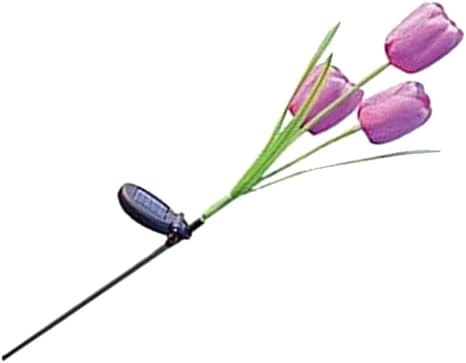 Sharplace LED-Lichter Blüten Tulpenlandschaft Sonneneinstrahlung