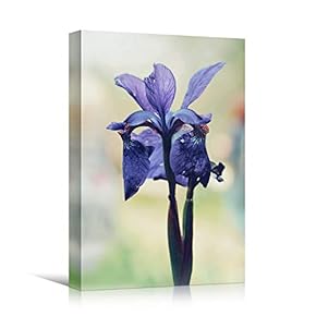 signwin Canvas Wall Art Purple Flower Portraiture Colorful...