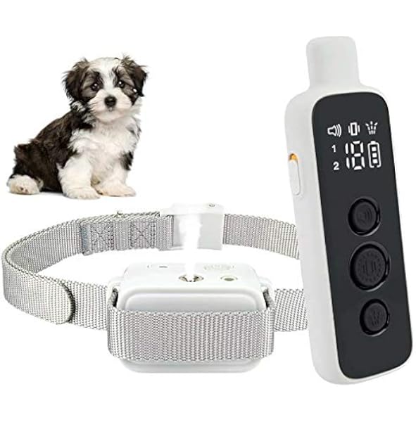 shock collar for humans