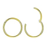 2pcs 10mm Nose Rings 18 Gauge Nose Ring Hoop