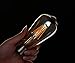 Dimmable Led Bulb, 6w LED Edison Bulb, 60w Incandescent Equivalent, 6W Vintage LED Filament Light Bulb, St64 Led Bulb,2400-2700K (Amber Glow) ,e26 /e27 Medium Screw Base, Amber Glass Cover, 4 Pack