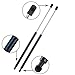 2Pcs Liftgate Lift Supports Springs for 2001 To 2006 Hyundai Santa Fe 6109 Rear Hatch Struts Tailgate Shocks