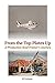 From the Top Plates Up: A production roof framer's journey