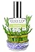Fig Leaf Fragrance by Demeter for unisex Personal Fragrances