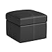 Ameriwood Home DHP Delaney Small Square Ottoman with Storage, Rich Faux Leather, Black