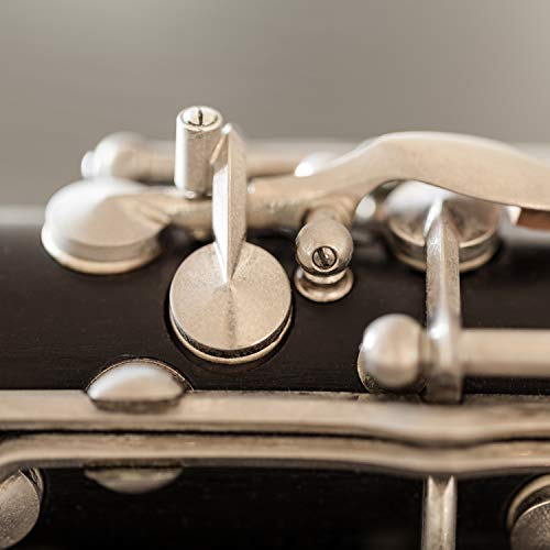 SATINIOR 27 Pieces Instrument Accessories Replacement Kits with 10 Pieces Neck