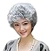 GOOACTION Granny Short Curly Silver Gray White Fluffy Wig for Old Middle Aged and Elderly Women Daily Use Wigs Halloween Cosplay Synthetic Hair Wigs
