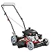PowerSmart Lawn Mower, 21-inch & 170CC, Gas Powered Push Lawn Mower, 2-in-1 Gas Mower in Color Black, 5 Adjustable Heights (1.18''-3.0''), DB2321CR
