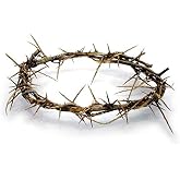 Authentic Biblical Lifesize 8" Crown of Thorns w/ Certificate