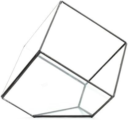 Geometric Terrarium Glass Table Decoration Planter For Succulents, Cactus, Air Plants, Indoor Plants, Outdoor Plants
