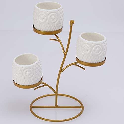 FLOWERPLUS Small Owl Succulent Planter Pots, 3 Pack 2.75 Inch White Ceramic Decorative Cactus Flower Plant Pot with Tree Tier Metal Stand for Indoor Outdoor Home Office Garden Kitchen DÃ©cor (3PP024)