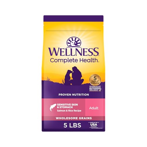 Wellness Complete Health Sensitive Skin and Stomach Dry Dog Food, Wholesome Gra…