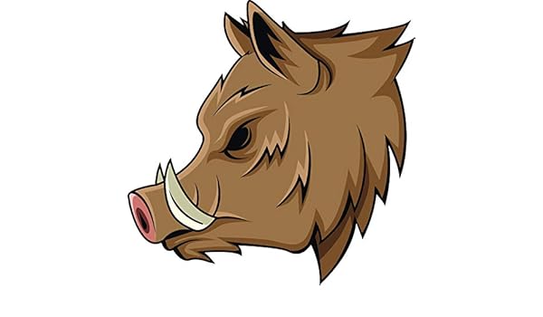 Amazon Com Ew Designs Classic Simple Wild Boar Warthog Head Mount Cartoon Vinyl Decal Bumper Sticker 12 Wide Kitchen Dining