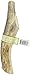 Prairie Dog Antlers | North American Split Antler | Large | Naturally Shed | Hand Harvested | Nutrient Rich | 6-7.5 inches long