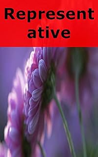 Livro Representative