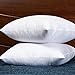 StarryBedding Down and Feather Square 18x18 Inch Throw Pillow Insert, Set of 2, 100% Cotton