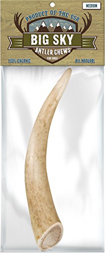 Big Sky Antler Chew, Medium 1ct