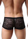 Sandbank Men's Sexy Lace Panties Underwear Sheer Low Rise Boxer Brief Underpants