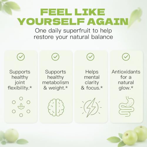 Organic Amla Capsules – Indian Gooseberry Fruit Powder for Daily Vitality, Ayurvedic Wellness Formula, 90 Capsules