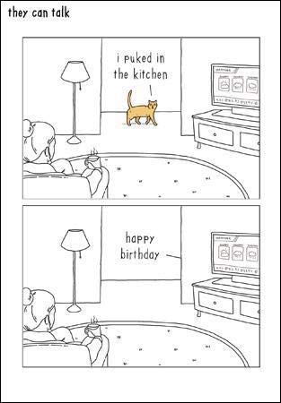 Illustrated Humorous Male/Female Birthday Card from The They Can Talk Range - Cat, I Puked in The Kitchen - Greeting Card for Him/for Her (WDM-448935)