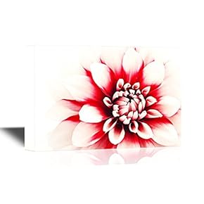 Floral Canvas Wall Art - Close-Ups of Lovely Dahlia Flower - Gallery Wrap Modern Home Art | Ready to Hang - 12x18 inches