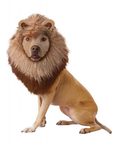 Lion Costume