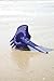 Quut Triplet All in One Rake, Shovel, and Sifter Beach Toy - Purple