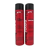 Big Sexy Hair – Sulfate-Free Volumizing Shampoo and Conditioner – 2 Item Value Set – 10.1 Ounce Each – Volume Shampoo and Moisturing Detangling Conditioner…