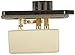 Dorman 973-020 HVAC Blower Motor Resistor Compatible with Select Dodge / Jeep Models